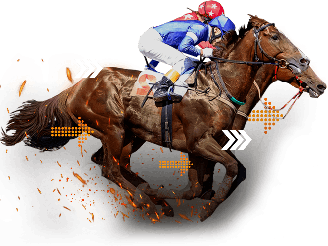 Evaluar clase y categoría de la carrera