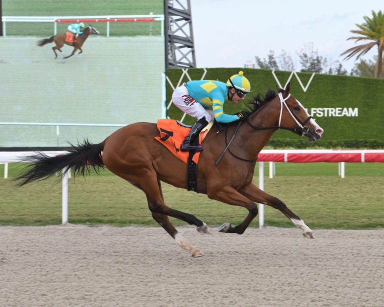 Diferencias entre favorits y sorpresas